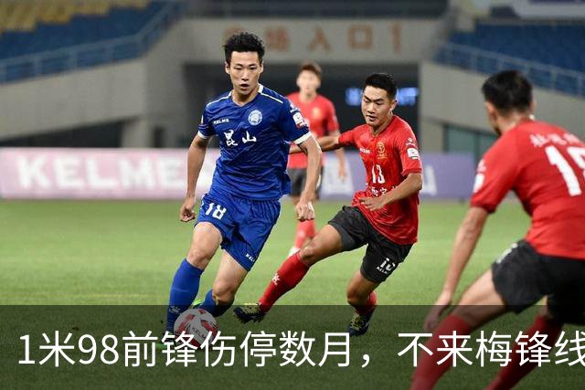1米98前锋伤停数月，不来梅锋线再遭打击
